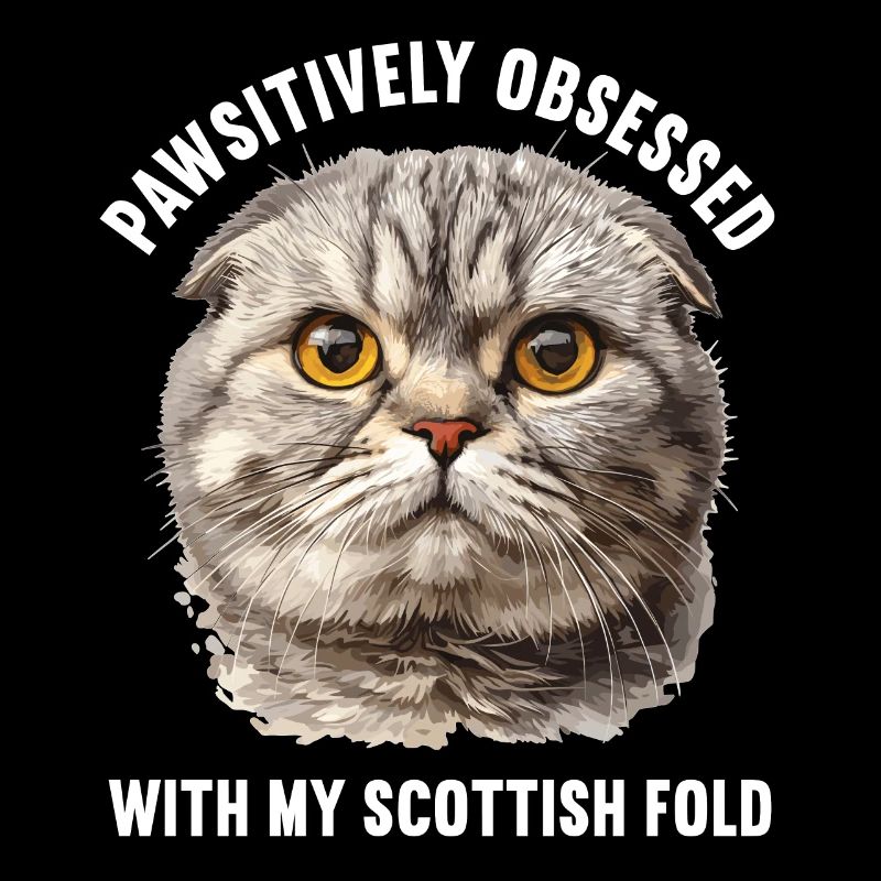 Scottish Fold Kitten Scottish Fold chat