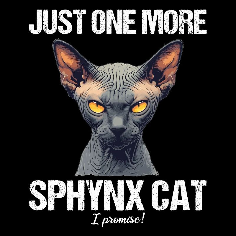 Sphynx Kitten Sphynx Cat