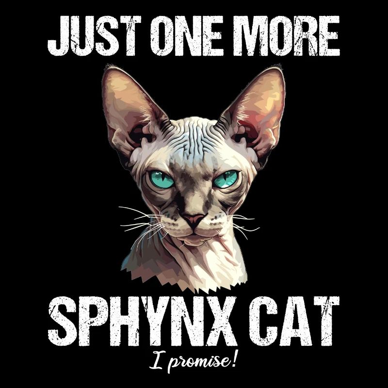 Sphynx Kitten Sphynx Cat