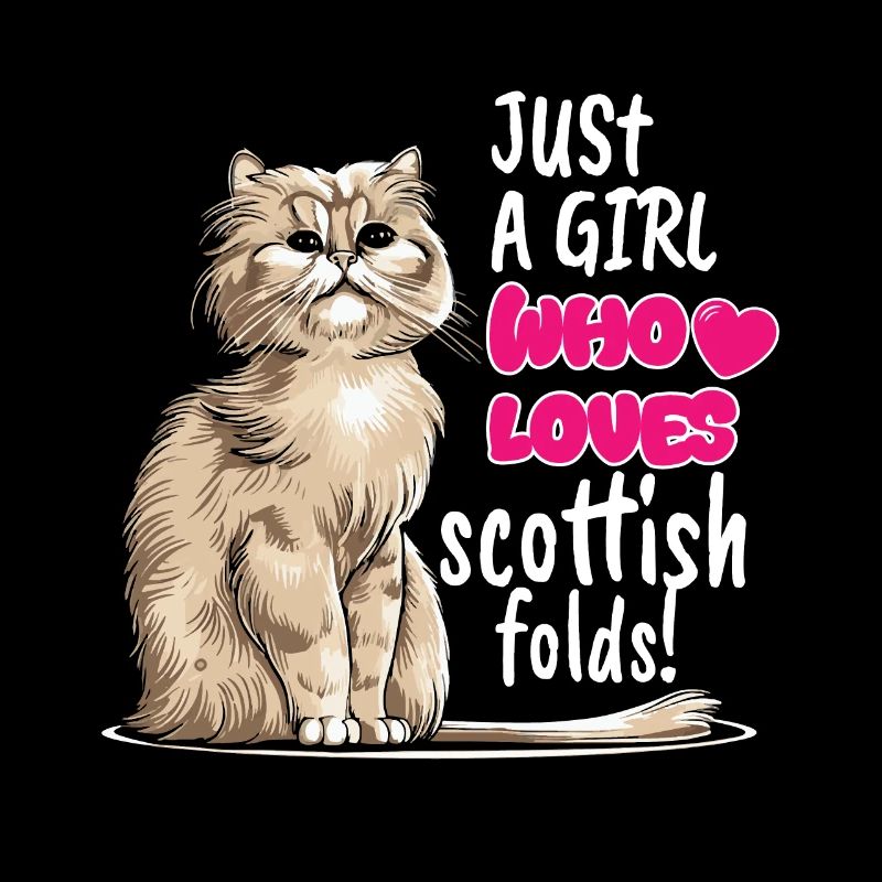 Scottish Fold Cat
