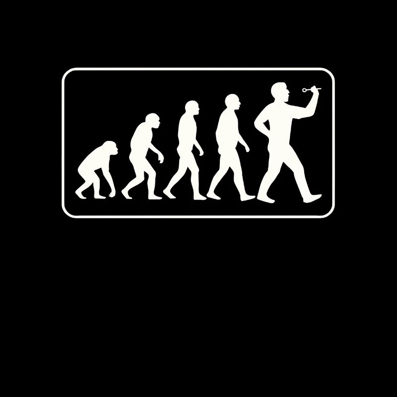Fléchette Evolution
