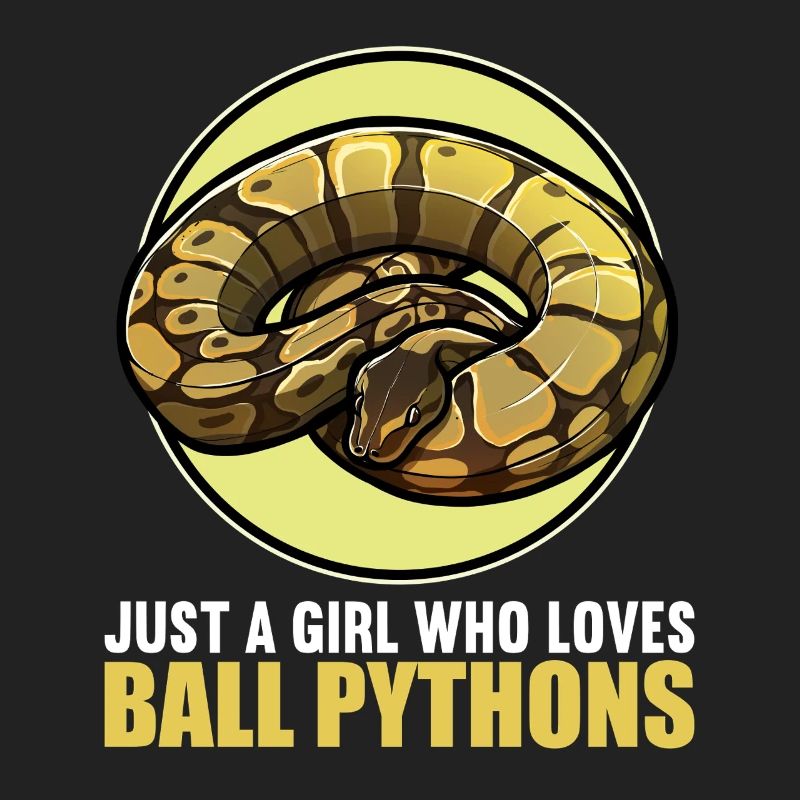 Ball Python Roi Python Roi Python