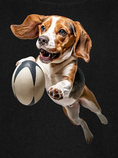 Beagle