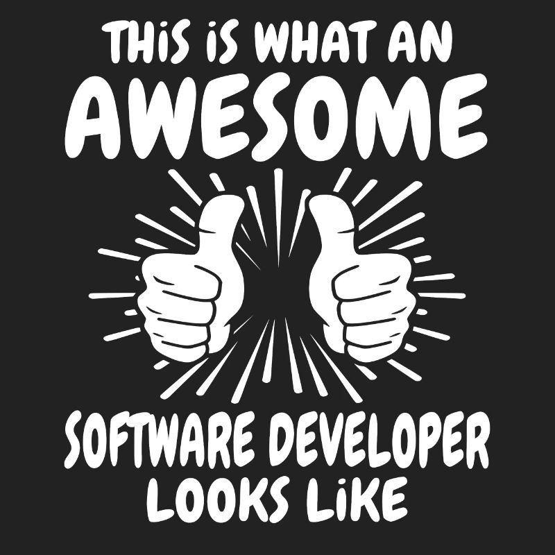 Software Developer