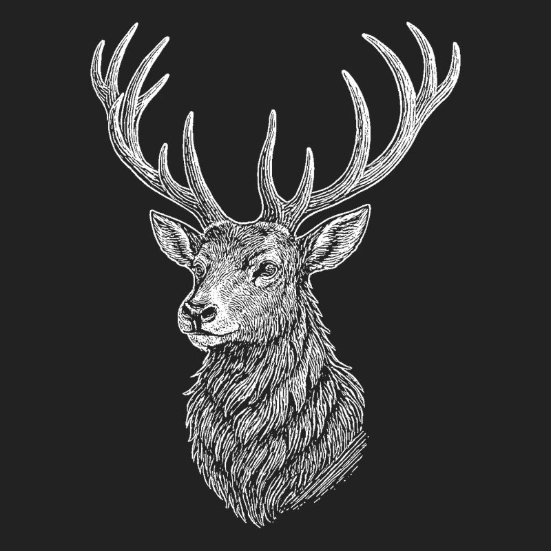 Cerf