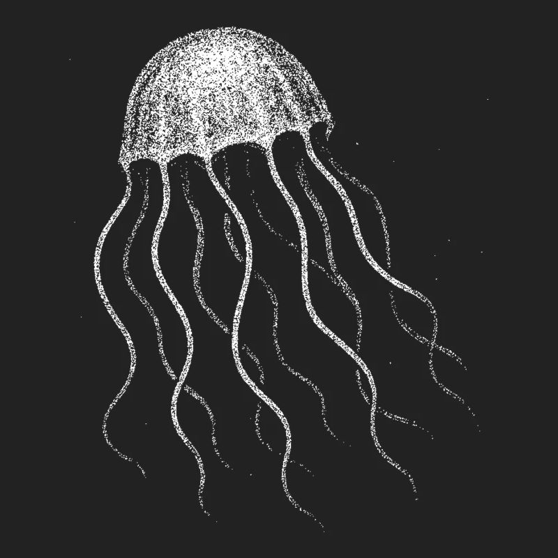 Jellyfish