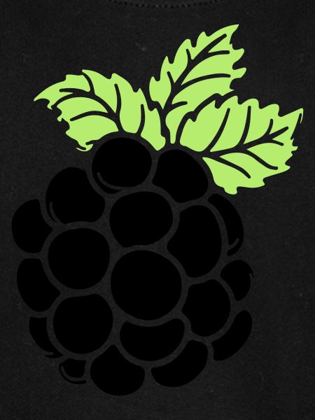 blackberry