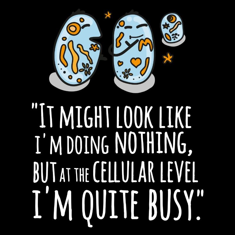 It Might Look Like I'm Doing Nothing...