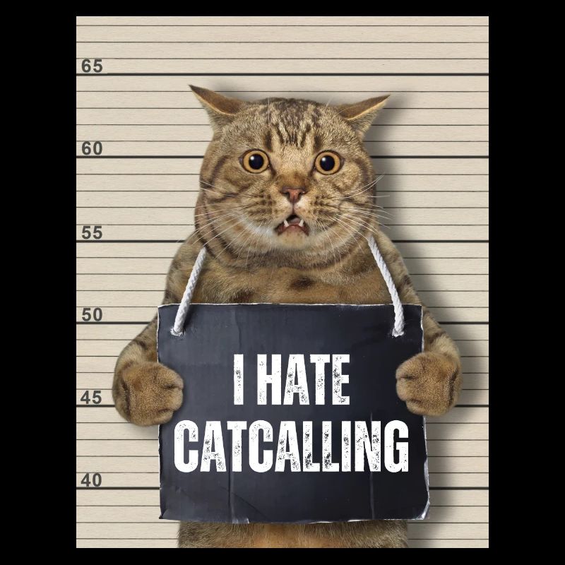 I Hate Catcalling