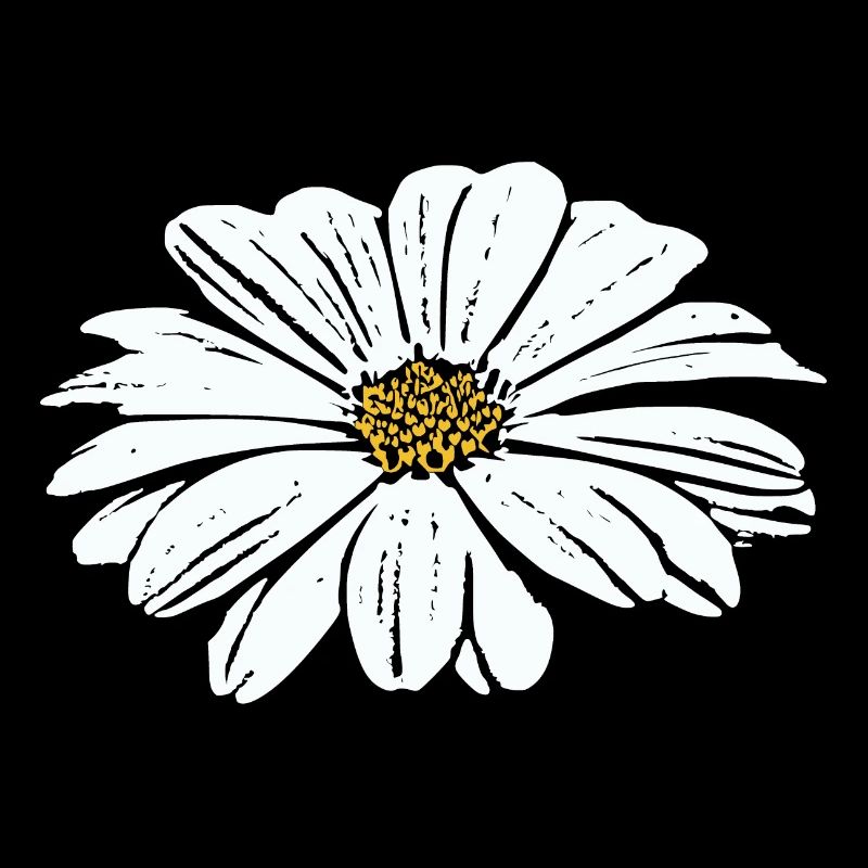Fleur Blanche Fleurs Blanches Fleurs Blanches Fleurs Blanches