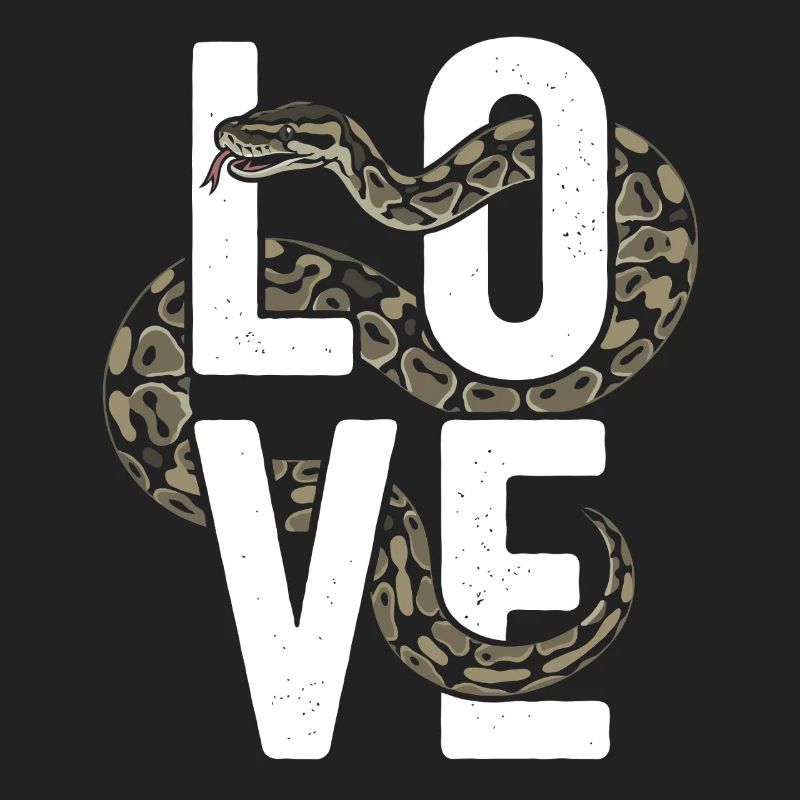King Python Snakes LOVE Terrarium Python