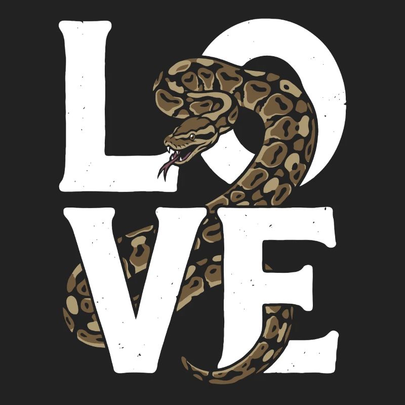 King Python Snakes LOVE Terrarium Python