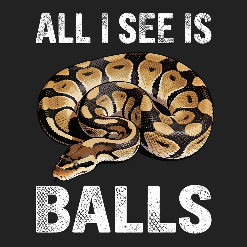 Königspython Schlangen Liebhaber Terrarium Python