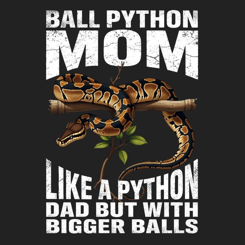 Königspython Mom Mama Schlangen Terrarium Python