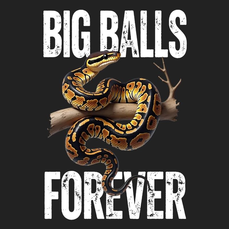 Python roi Serpents Amateurs de terrarium Python