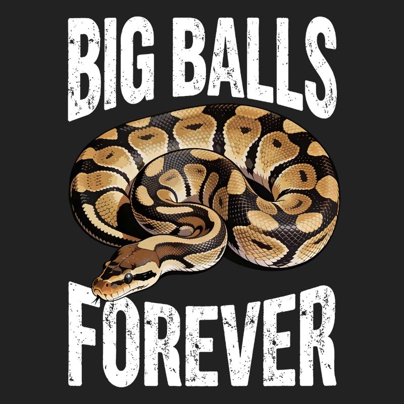 Python roi Serpents Amateurs de terrarium Python