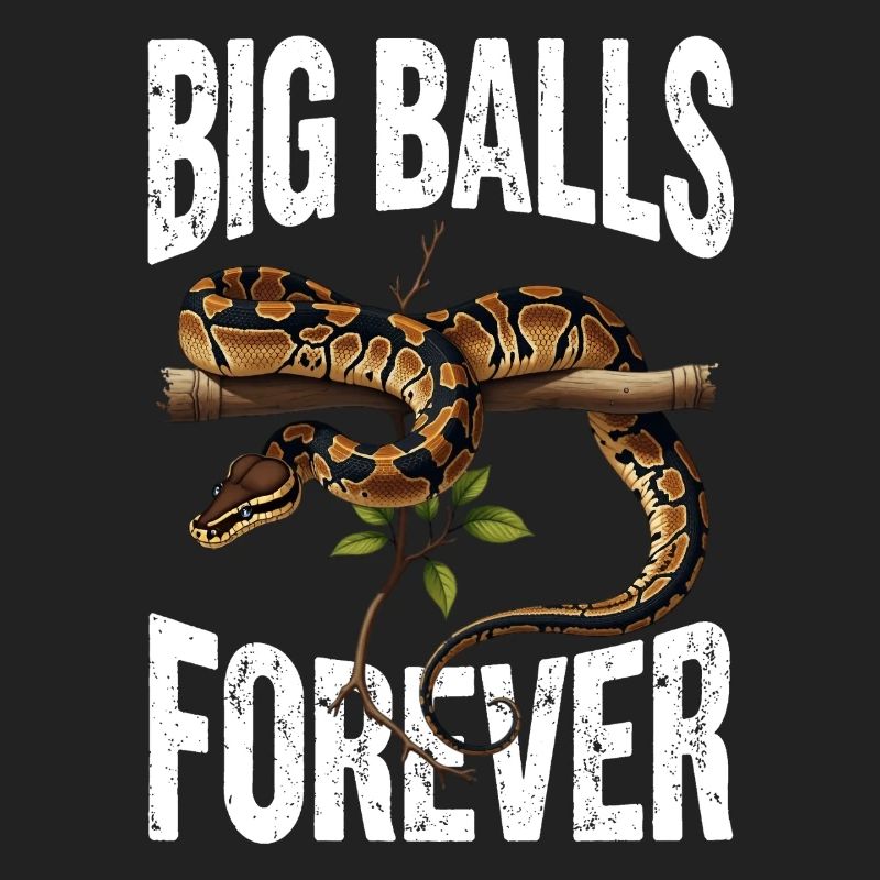 Python roi Serpents Amateurs de terrarium Python