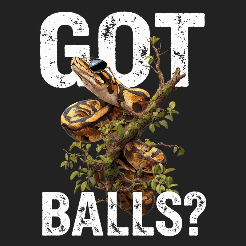 Python roi Serpents Amateurs de terrarium Python