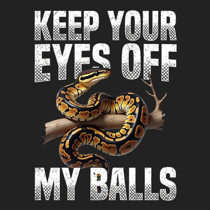 Königspython Schlangen Liebhaber Terrarium Python