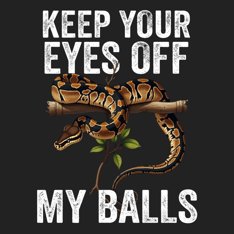 Königspython Schlangen Liebhaber Terrarium Python