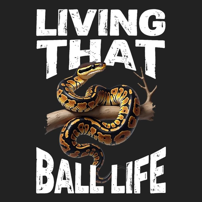 Königspython Schlangen Liebhaber Terrarium Python