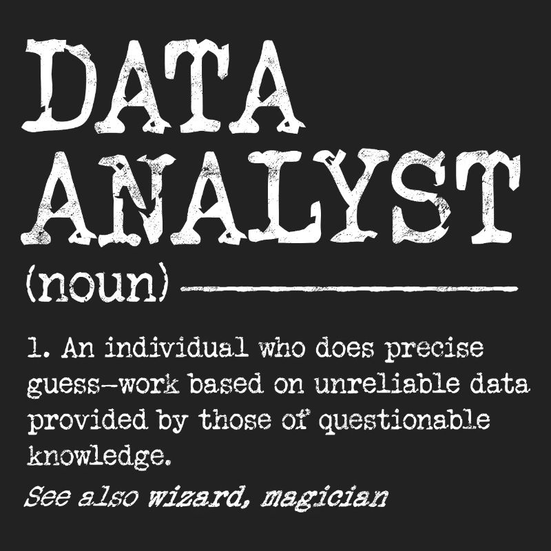 Data Analyst Meme Tee