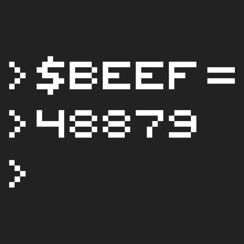 BEEF 8-Bit Code Nerd Pixel Terminal Retro