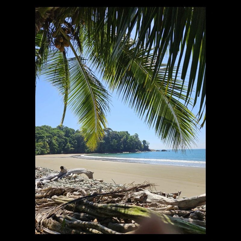 e30b78c9 5f3c 40fe a815 e6f4248a8ac0