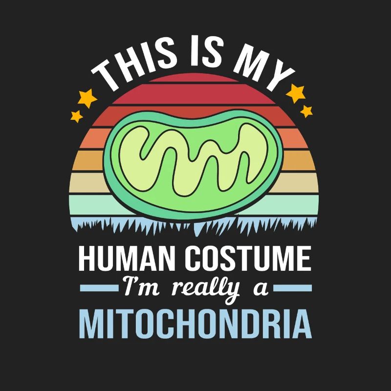 Molecule Structural Formula
