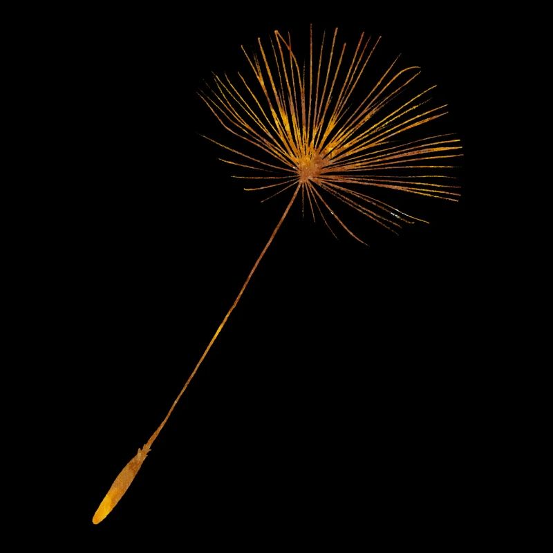 Dandelion Seed + Löwenzahn Same