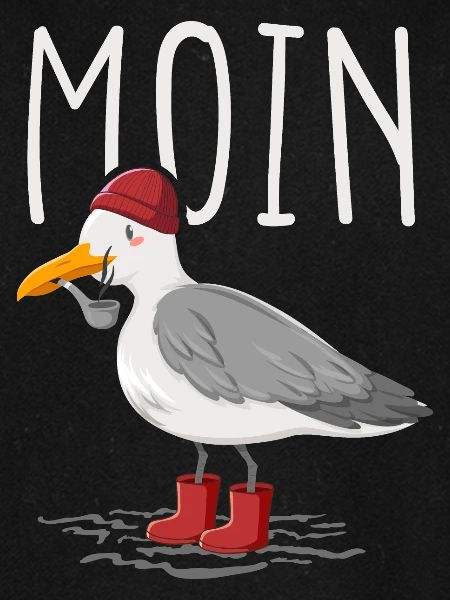 Moin Möwe Seemann