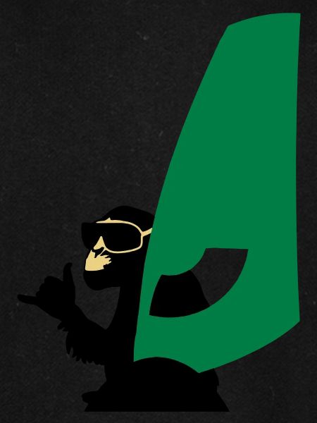 windsurfer monkey