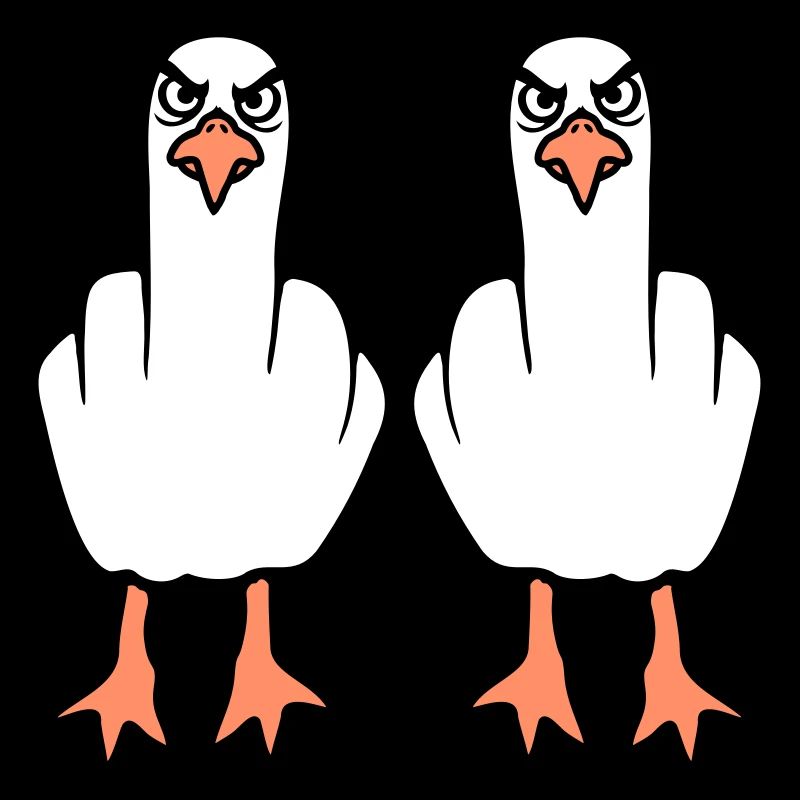 2 Seagulls Doigt d’honneur Insulte Stinkfinger Équipe