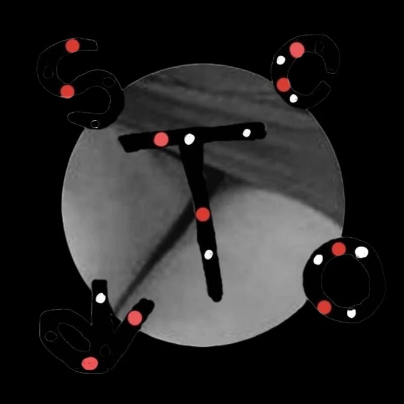 Sie oder Er, scort v.t-shirt