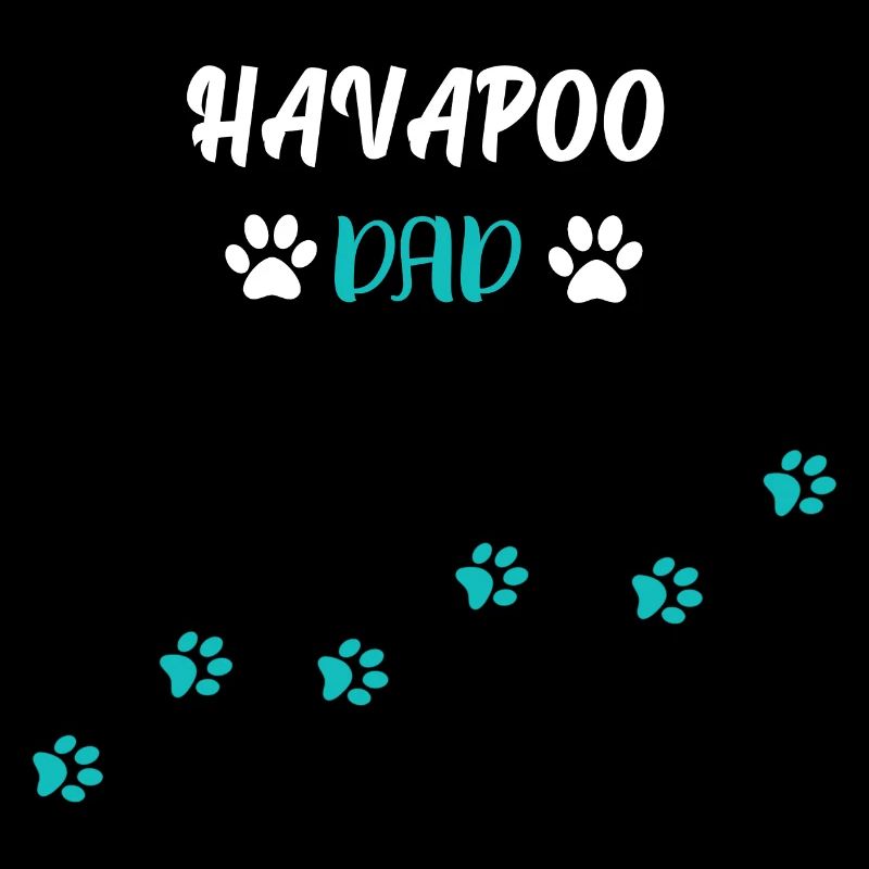 Havapoo Dad I Havaneser Pudel Mix