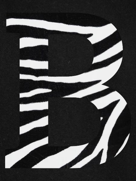 Buchstabe b Zebra