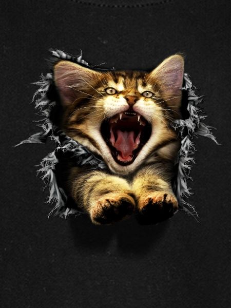 3D Katze