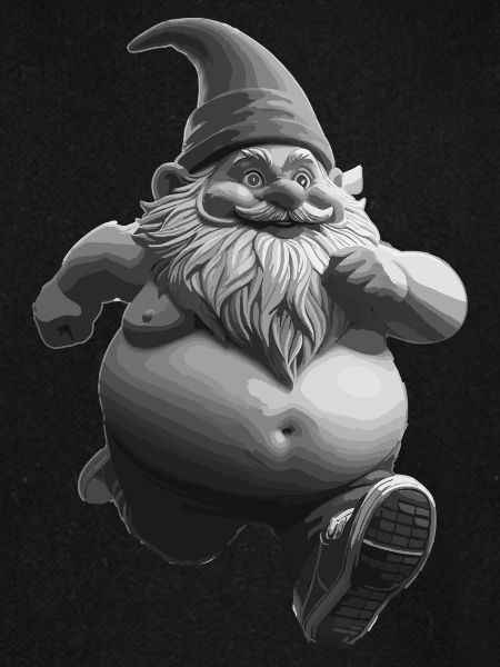 Run Gnom Run