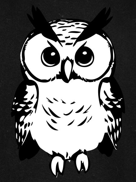 Cute owl