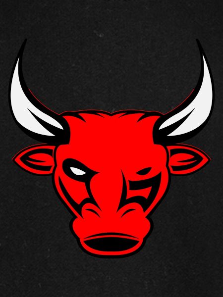 bull