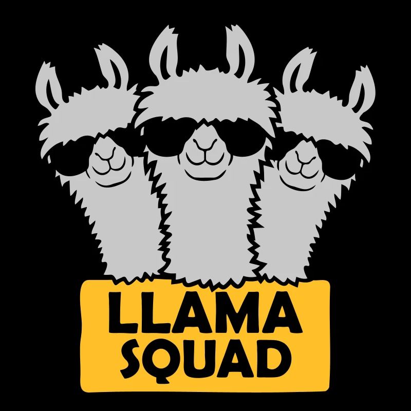 Conception de l’équipe Llama Squad