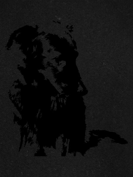 Hund Mischling