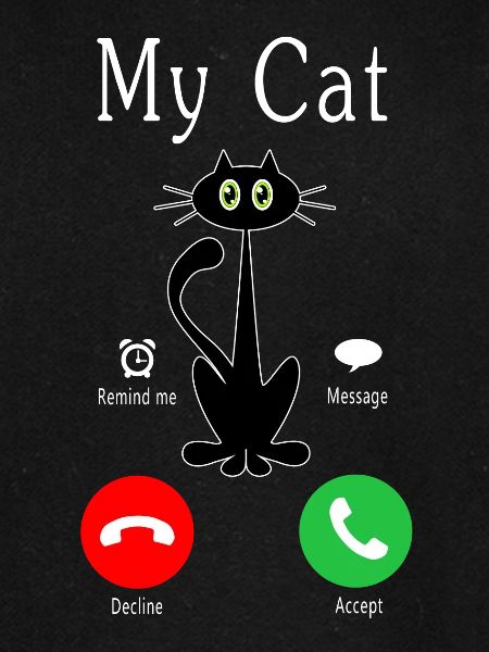 Cat is Calling