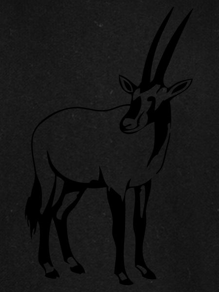 Oryx - Antilope