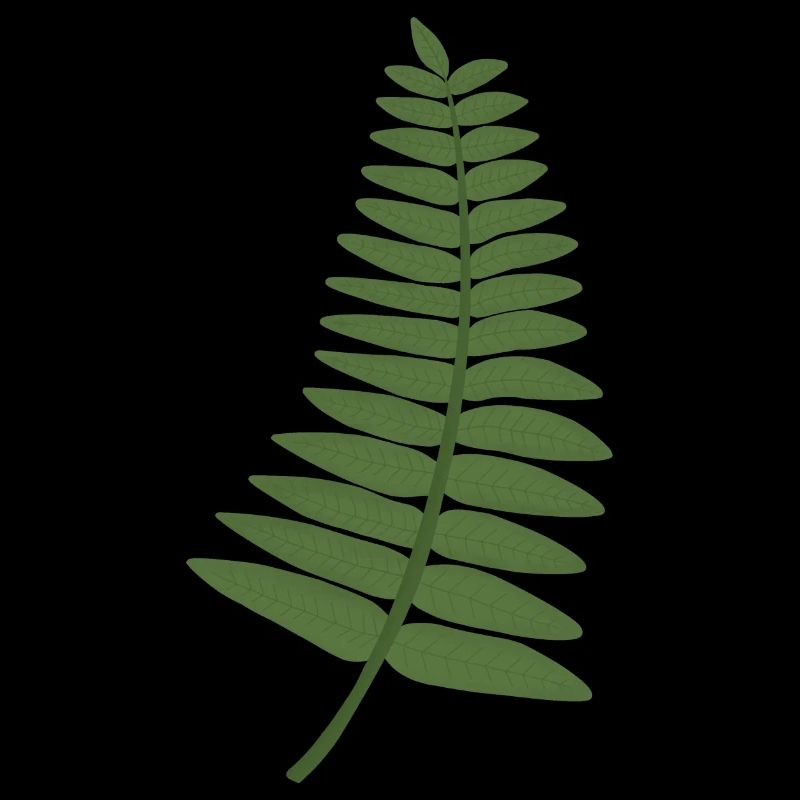 fern leaf