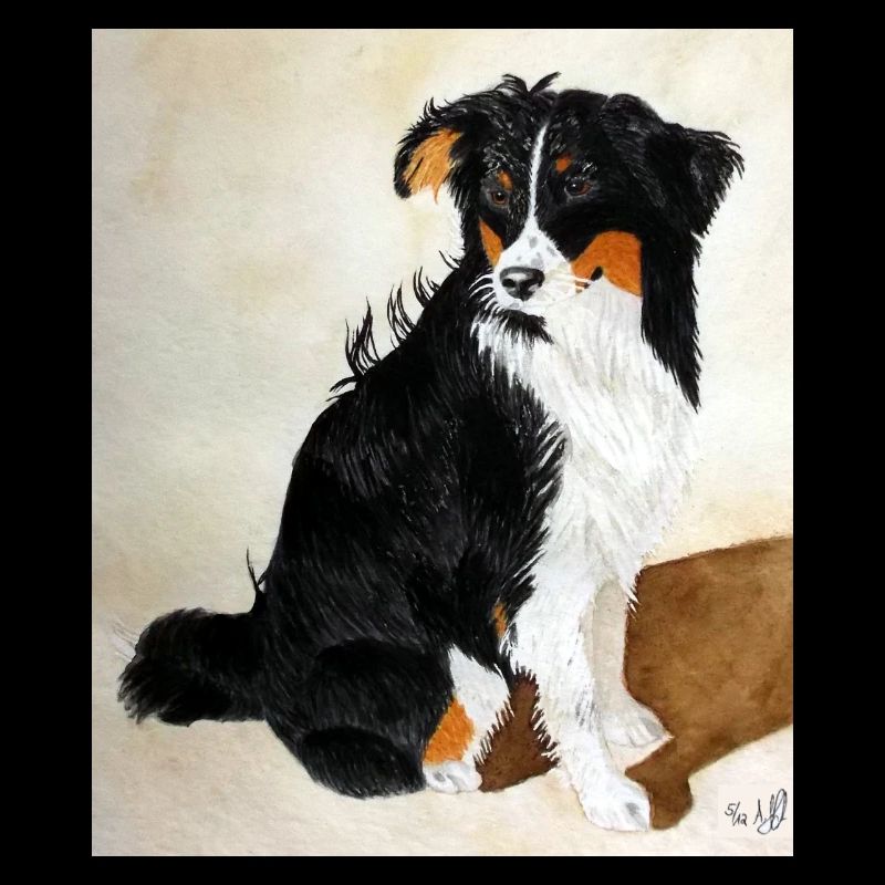 Sitzender Aussie Nanouk