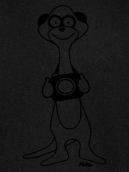 Erdmännchen