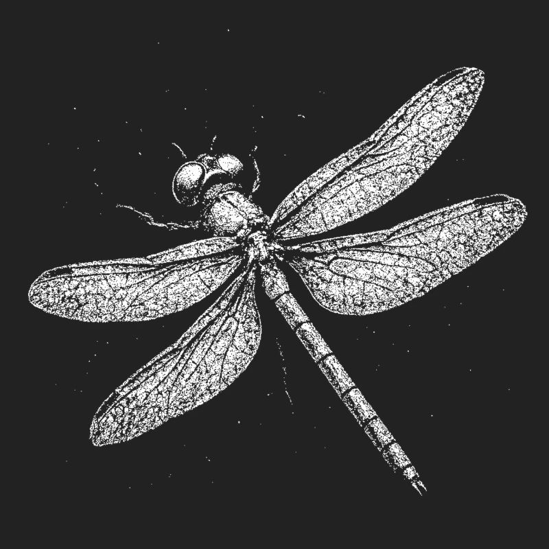 Libellule