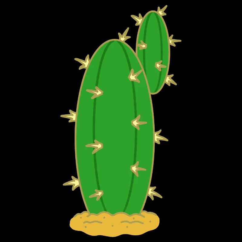 Kaktus N°5