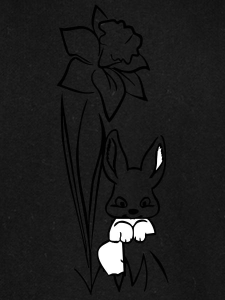 Bunny